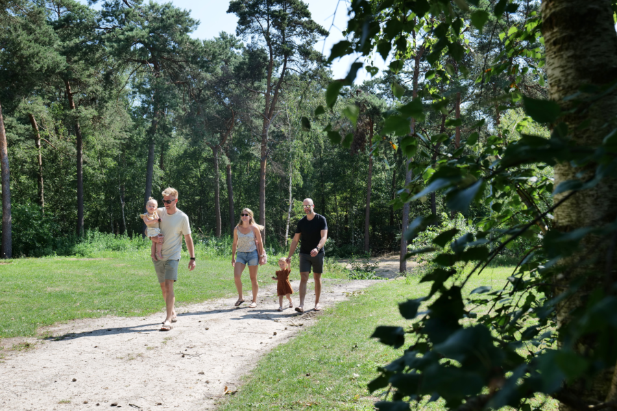 Wandelen bos 1