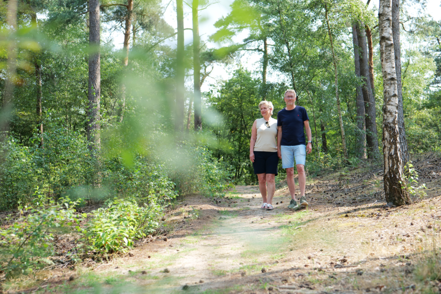 Wandelen in het Bos 2