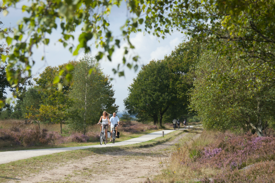 Nationaal Park Sallandse Heuvelrug