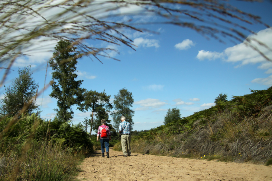 Wandelaars Sallandse Heuvelrug copyright Salland Marketing 3